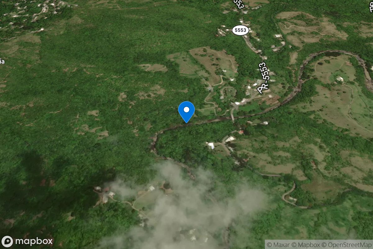 Rio Toa Vaca above Lago Toa Vaca, PR location