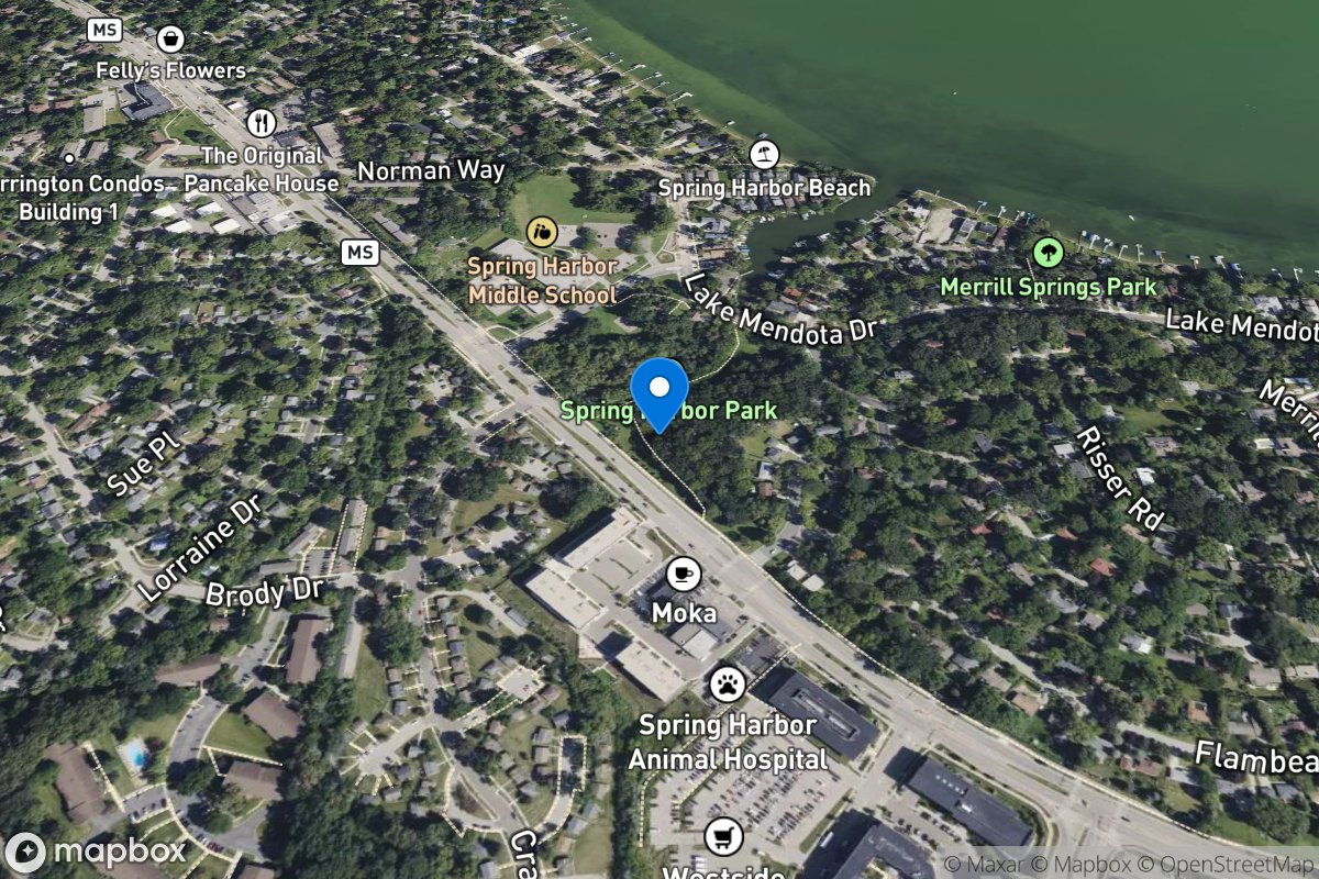 SPRING HARBOR STORM SEWER AT MADISON, WI location