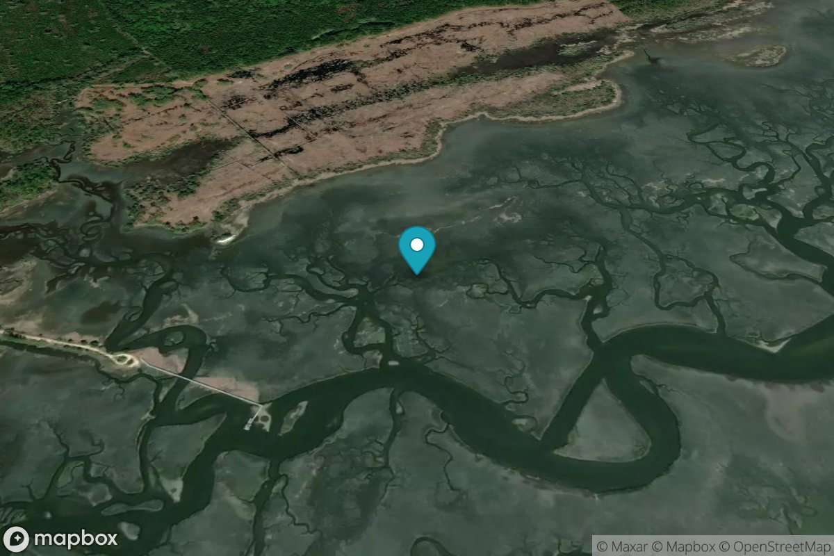 Oyster Landing (N. Inlet Estuary)