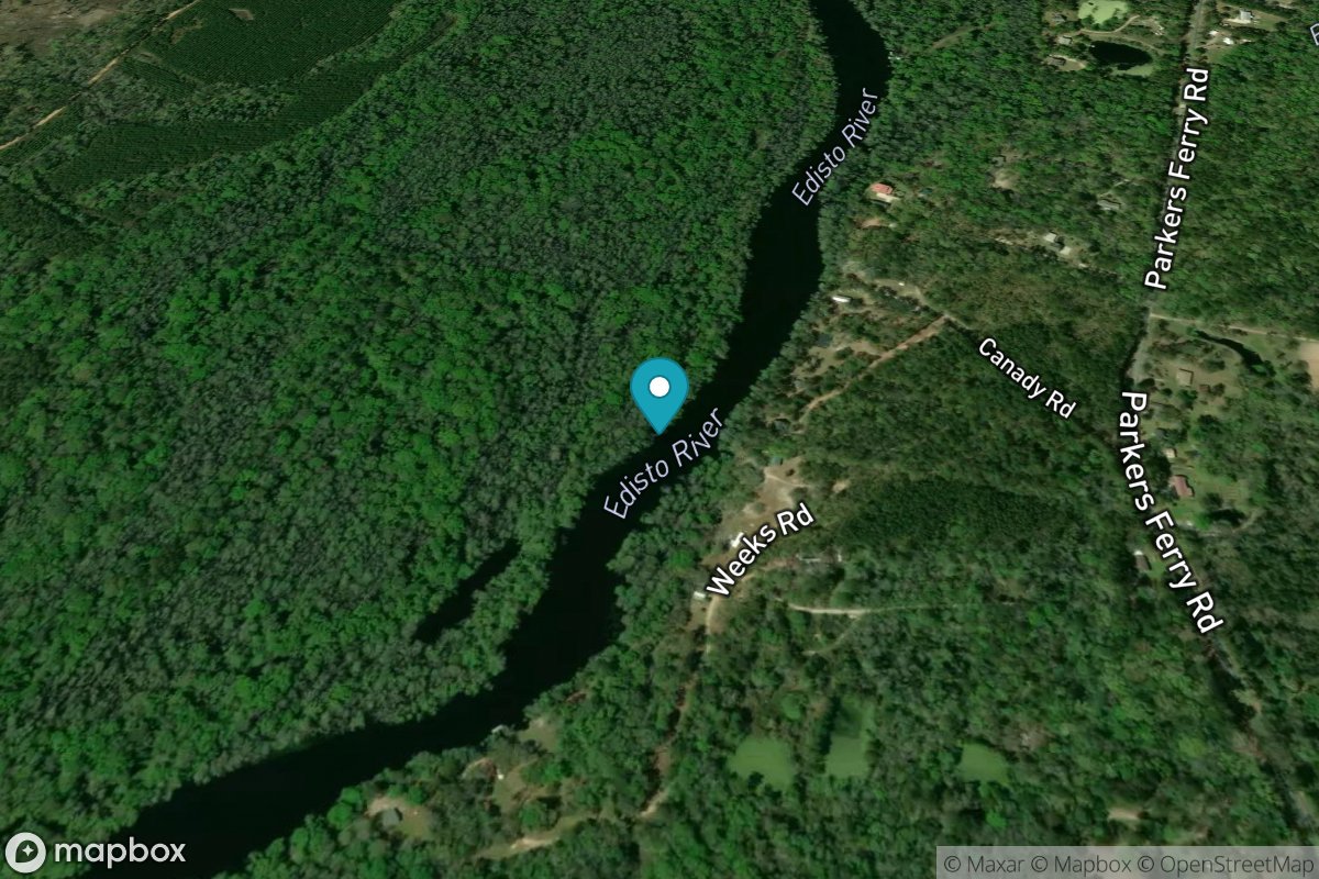 Canaday Landing, south of, Edisto River