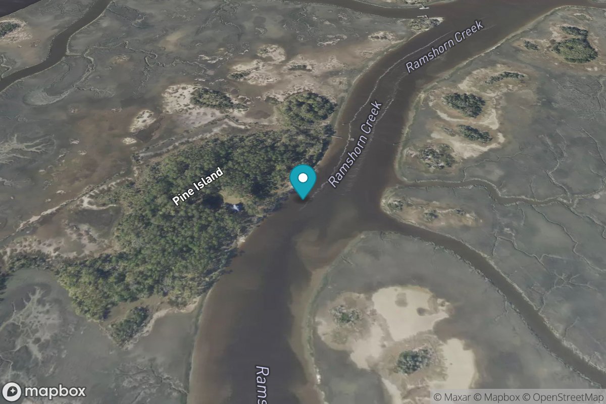 Pine Island, Ramshorn Creek, Cooper River
