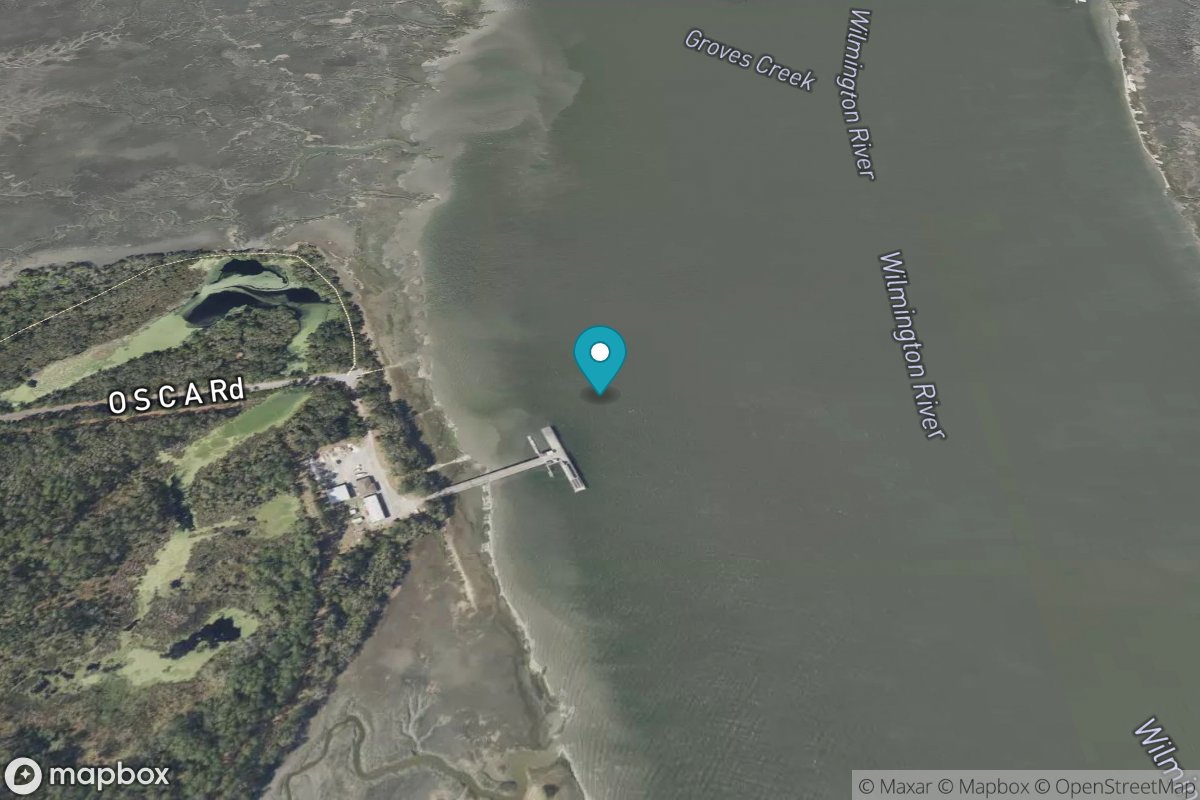 Priest Landing, Wilmington River