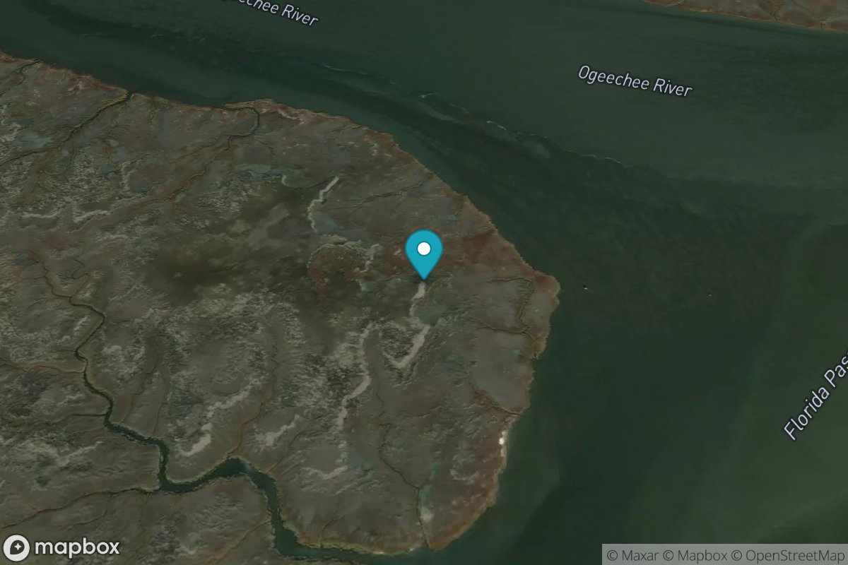 Florida Passage, Ogeechee River