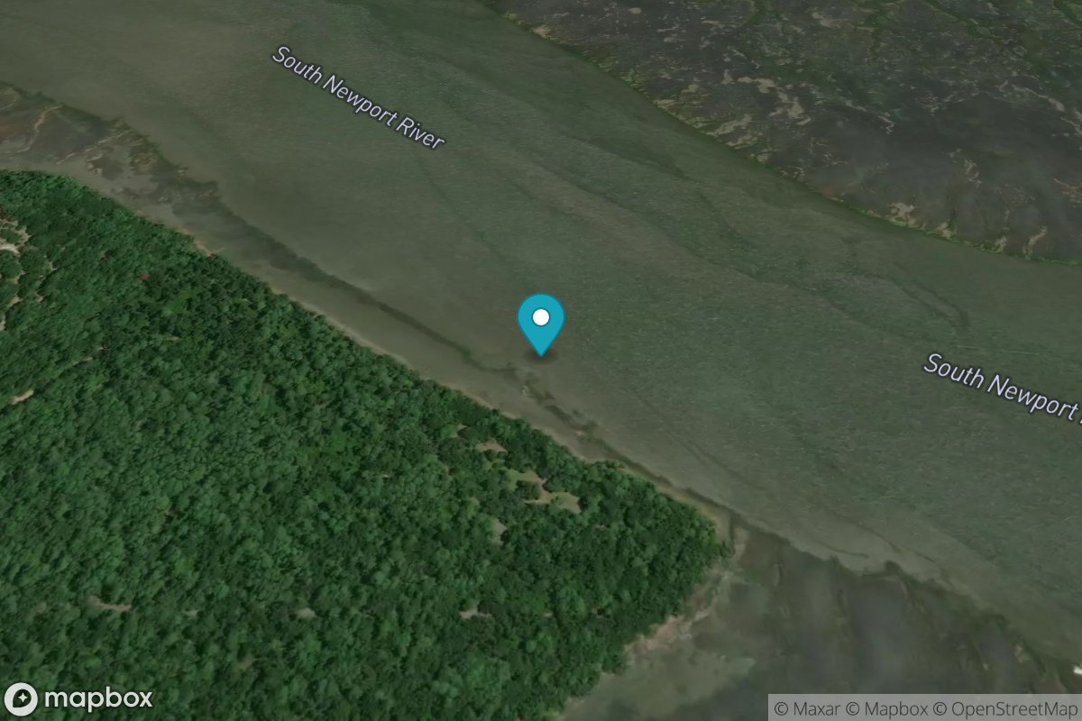 Thomas Landing, S. Newport River