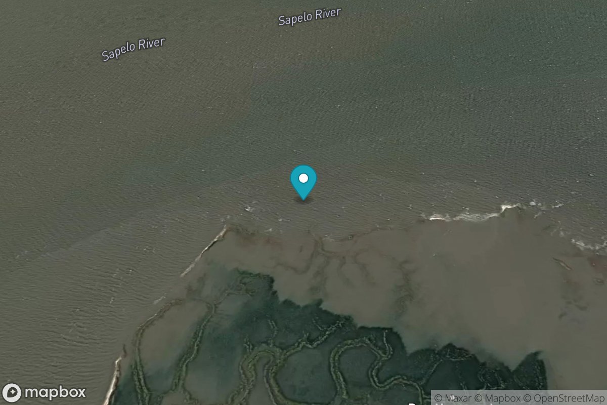 Dog Hammock, Sapelo River