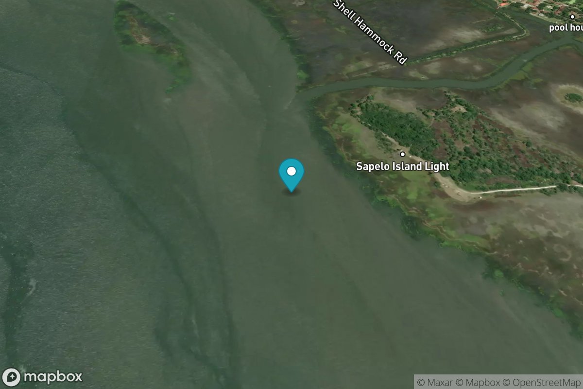 Old Tower, Sapelo Island