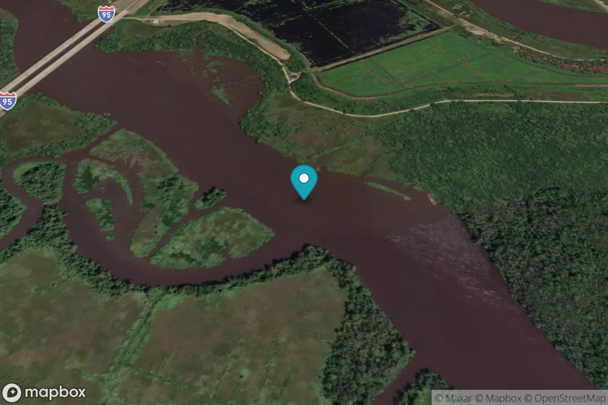 Champney Island, South Altamaha River
