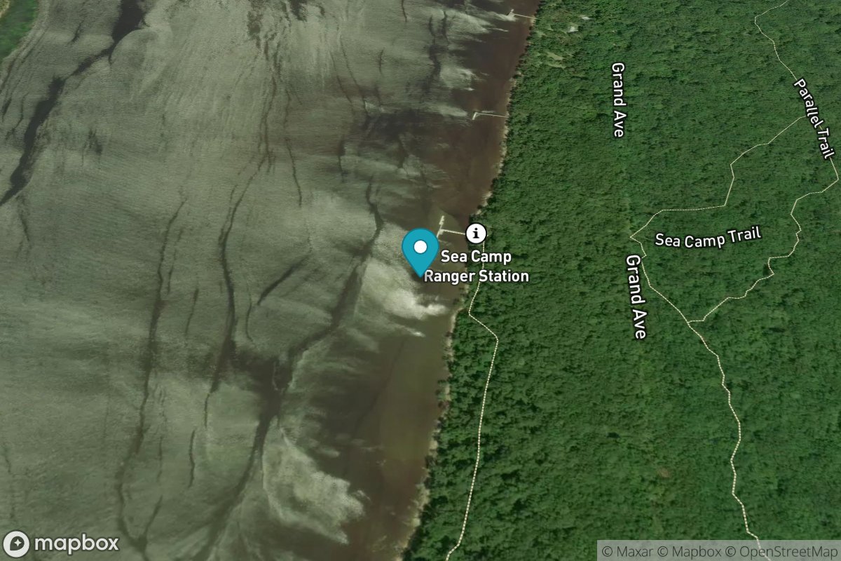 Seacamp Dock, Cumberland Island