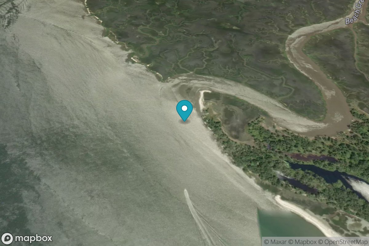 Beach Creek ent., Cumberland Island