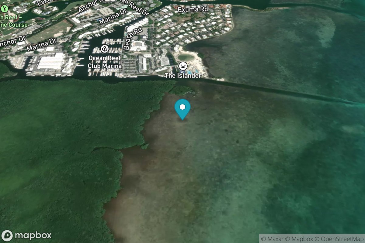 Ocean Reef Harbor, Key Largo
