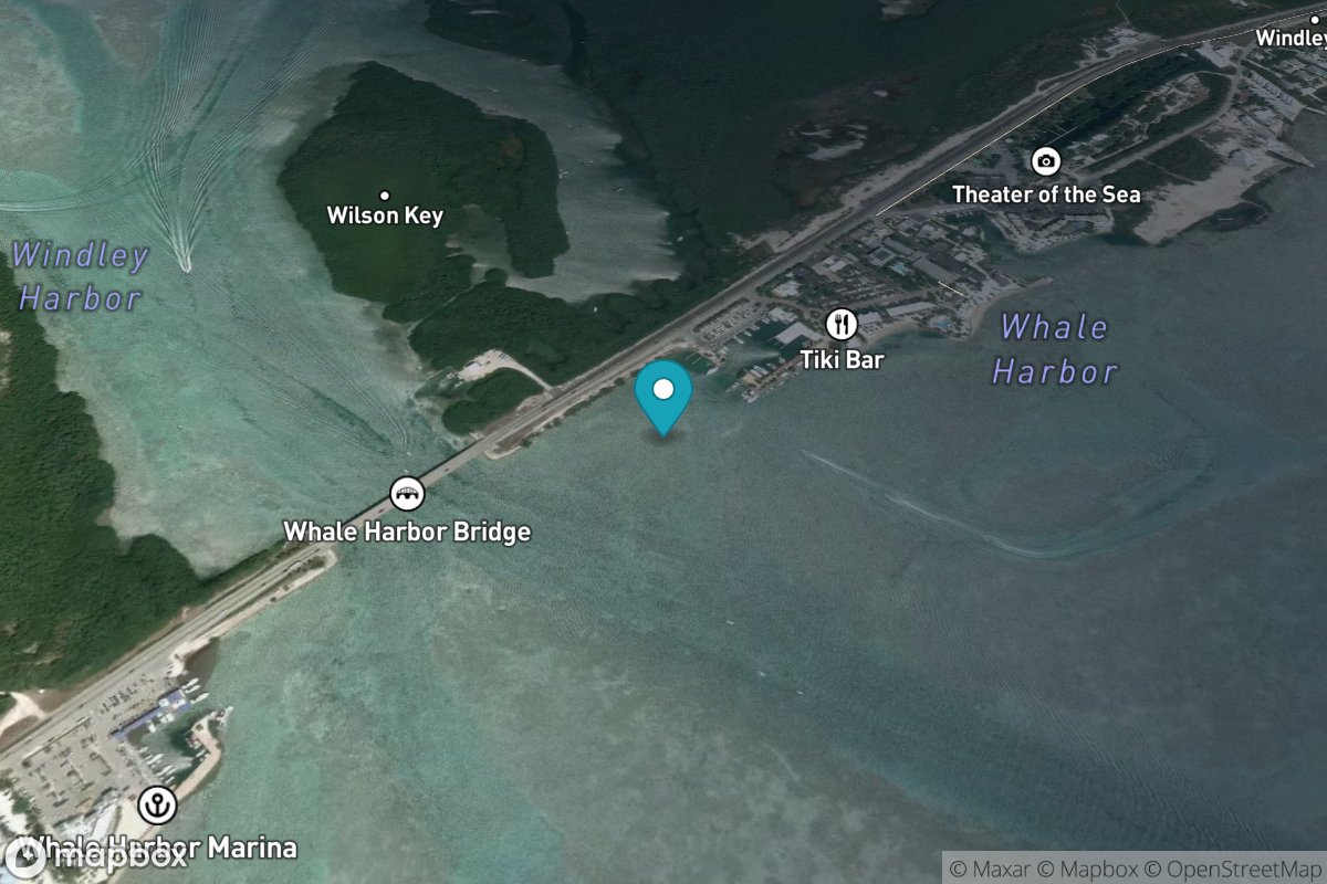 Whale Harbor, Windley Key, Hawk Channel