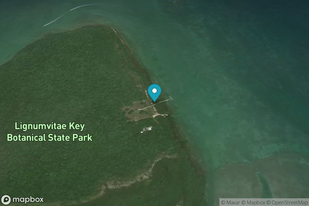 Lignumvitae Key, NE side, Florida Bay