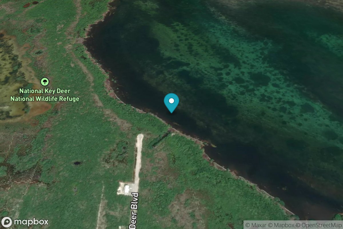 Big Pine Key, northeast shore