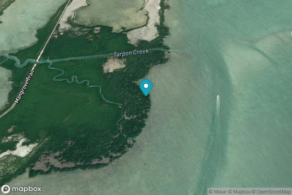 Sugarloaf Key, east side, Tarpon Creek