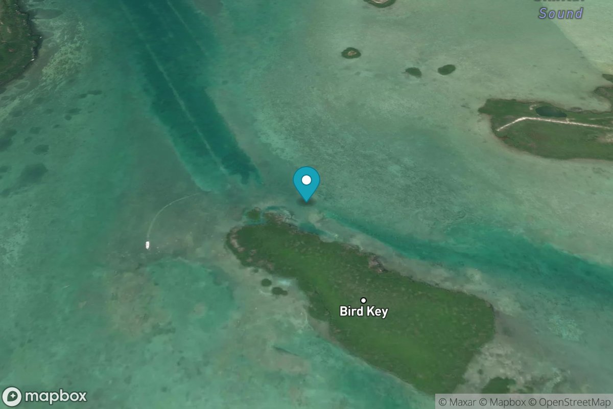 Bird Key, Similar Sound