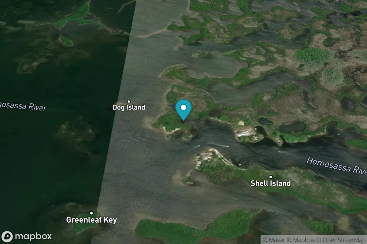 Tuckers Island, Homosassa River