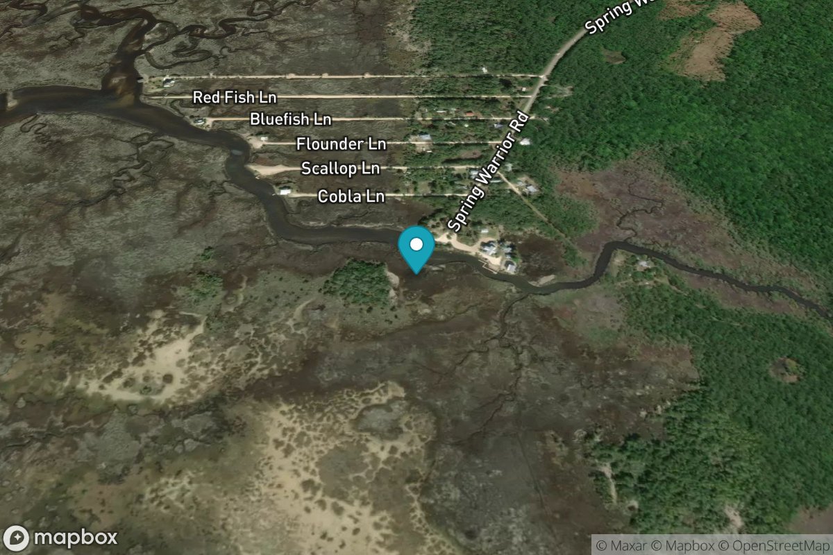 Spring Warrior Creek