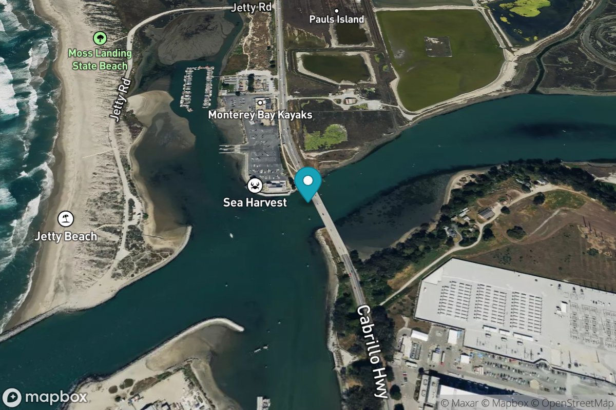 Elkhorn Slough, Highway 1 Bridge