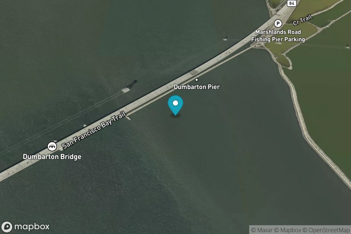 Dumbarton Highway Bridge