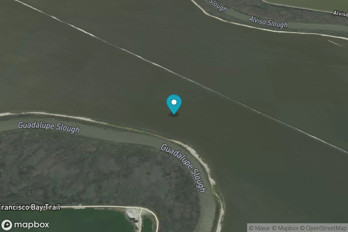 Upper Guadalupe Slough