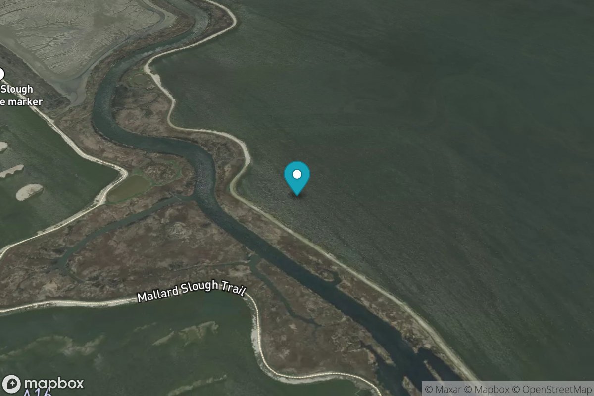 Coyote Creek, Tributary no.1