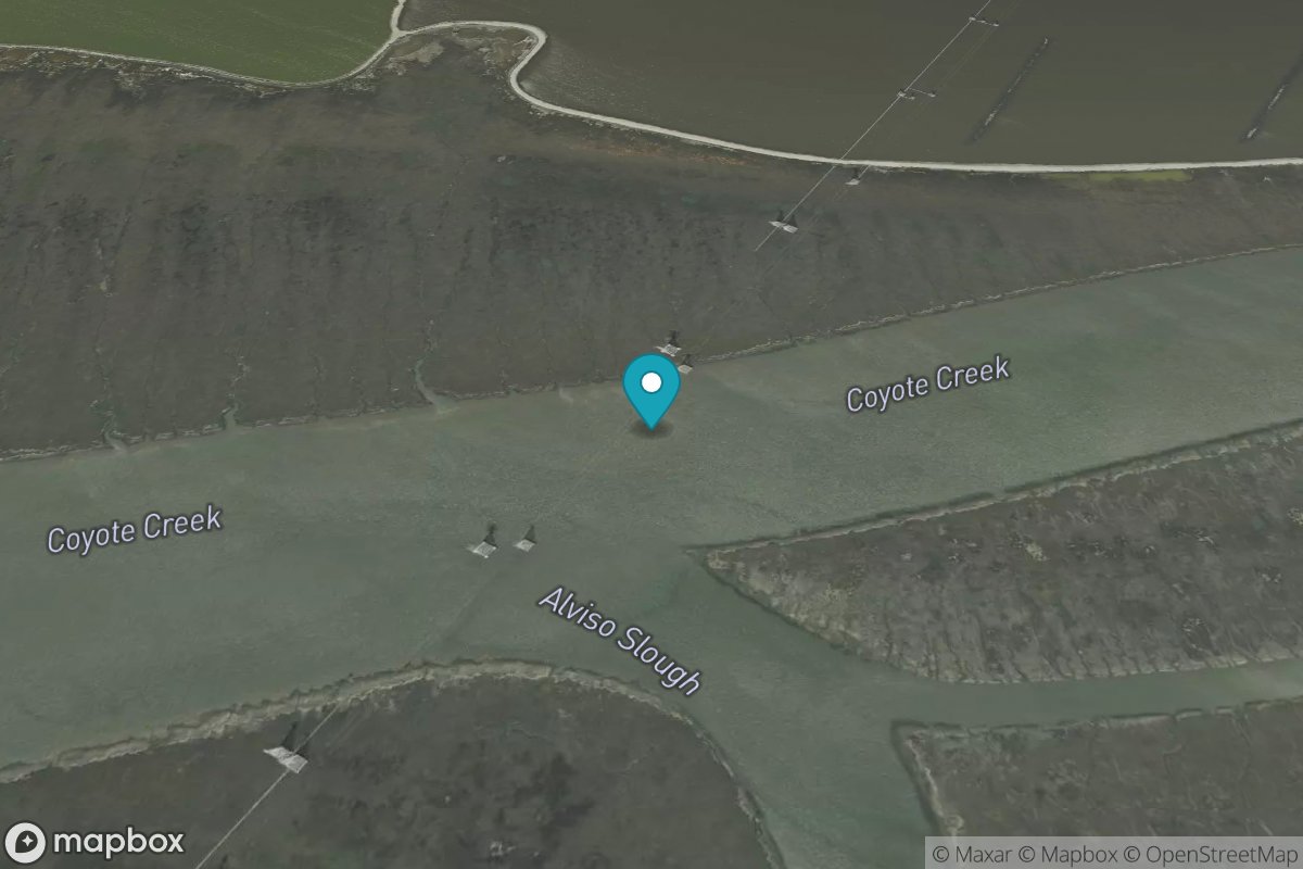 Coyote Creek, Alviso Slough