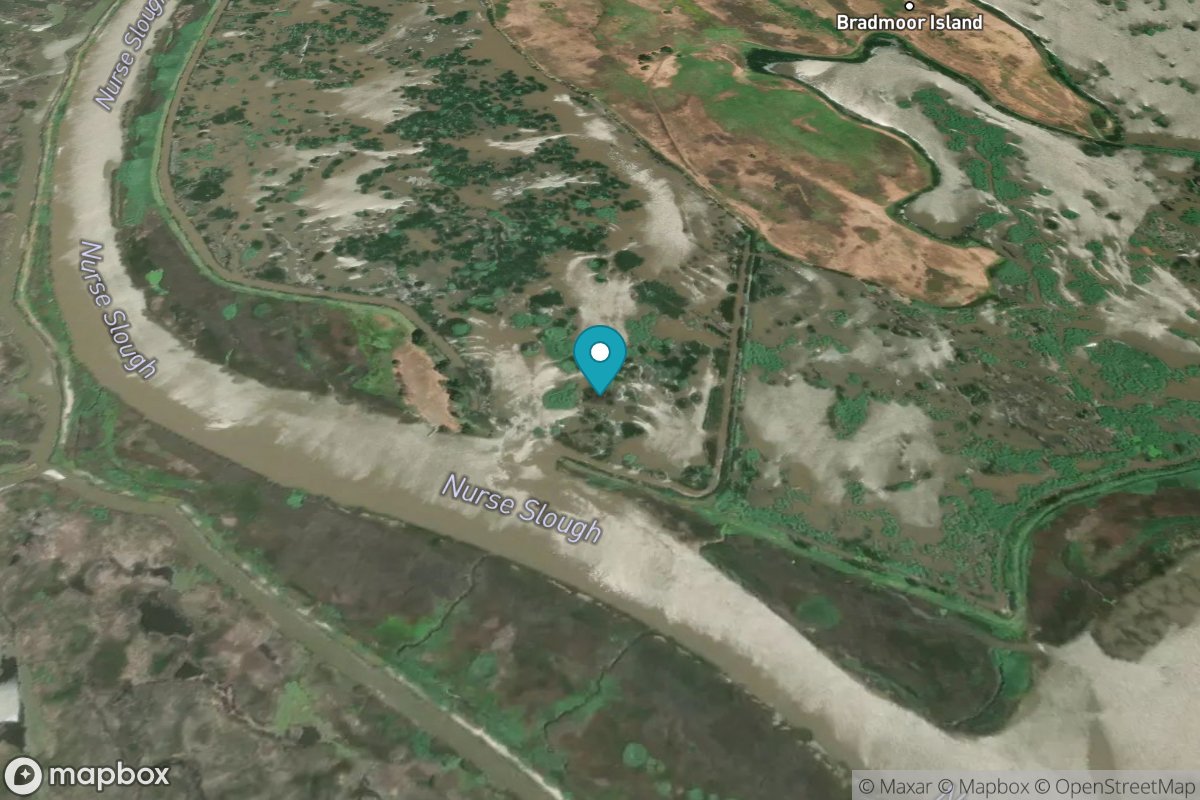 Bradmoor Island, Nurse Slough