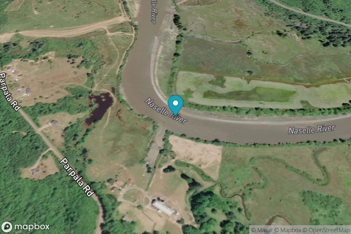 Naselle River, 4 miles above swing bridge