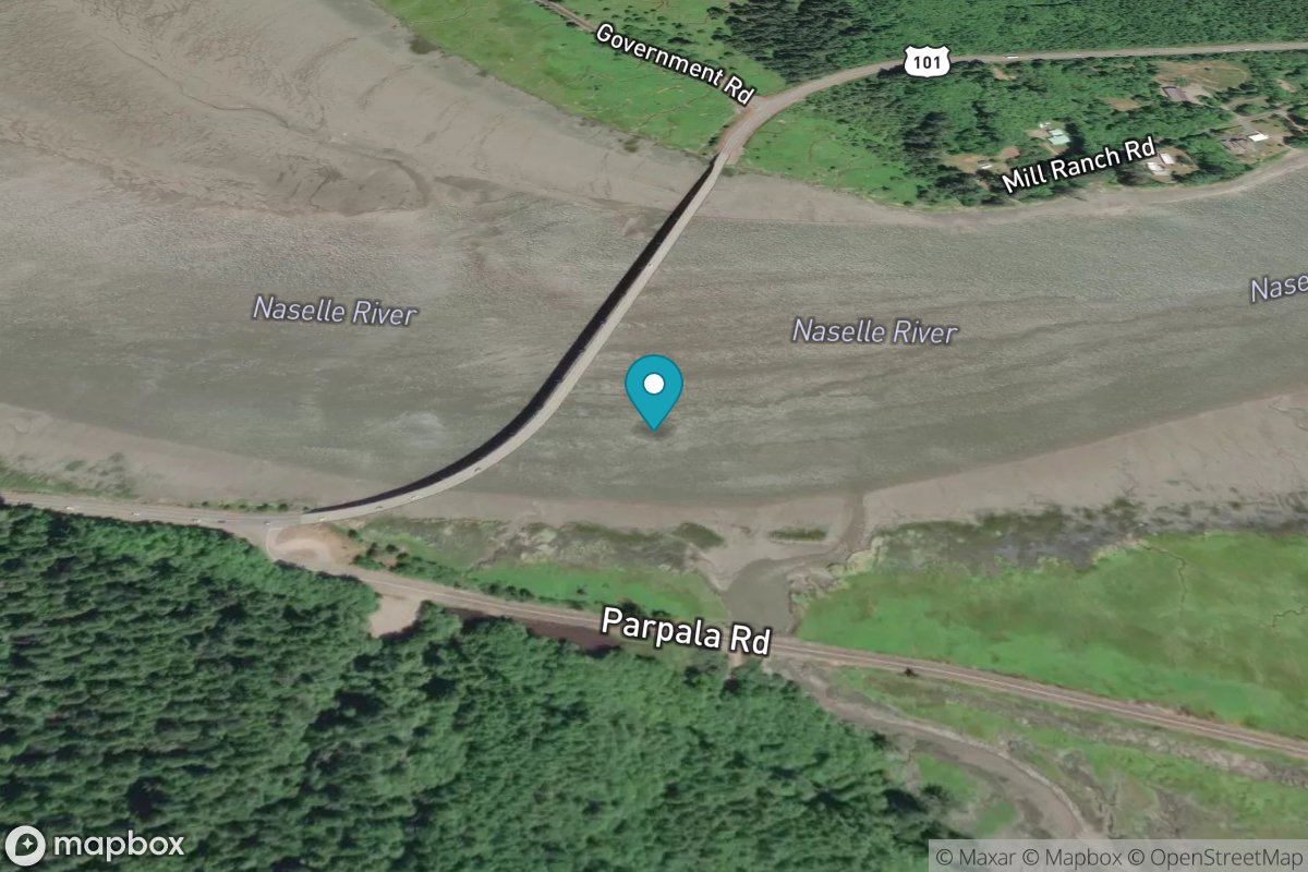 Naselle River, swing bridge