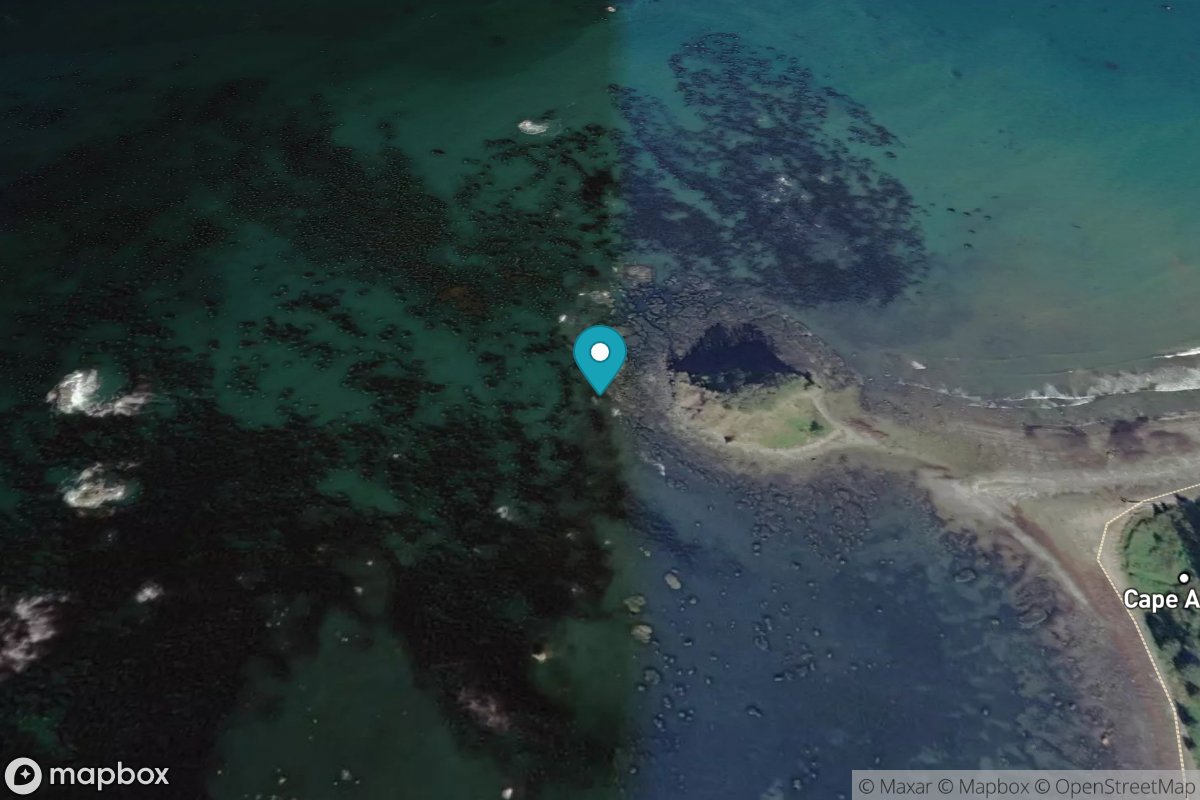 Tskawahyah Island, Cape Alava