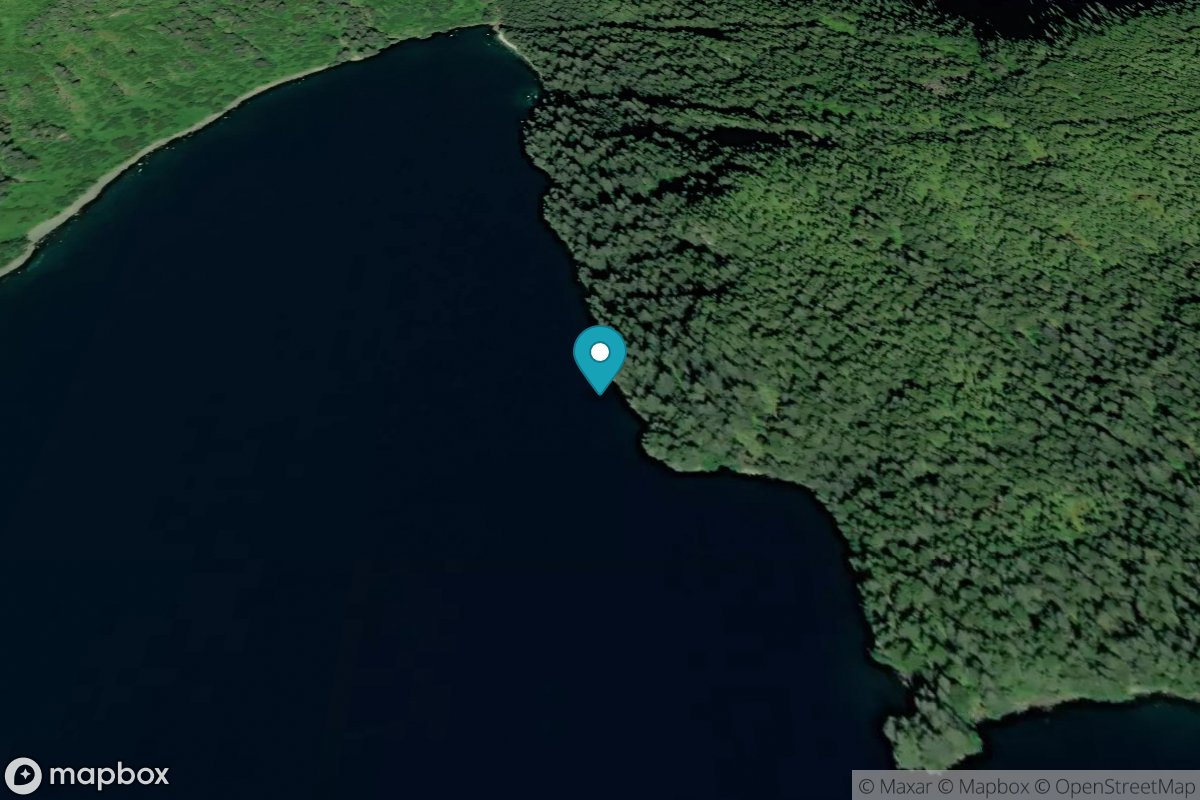 Bear Cove, Aialik Peninsula