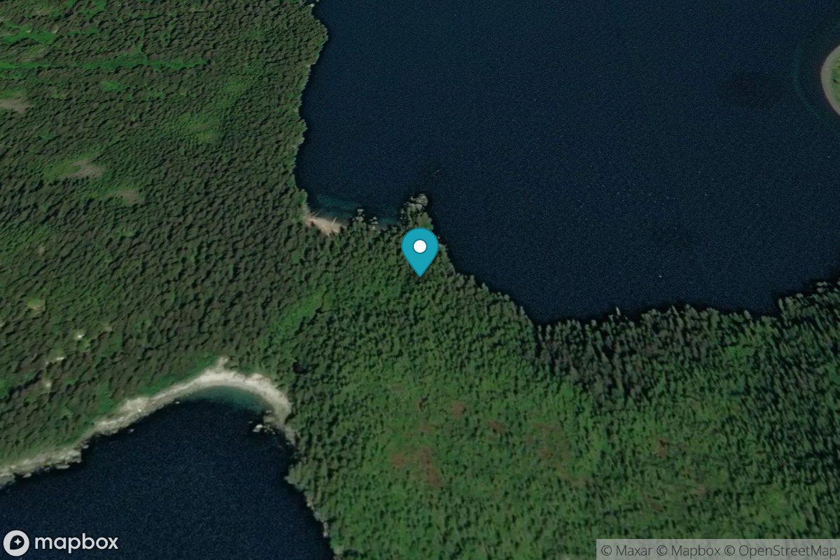 Camp Cove, Aialik Bay