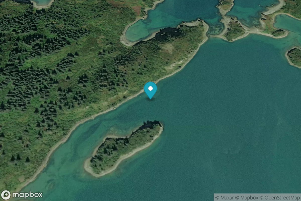 Aguchik Island, Kukak Bay