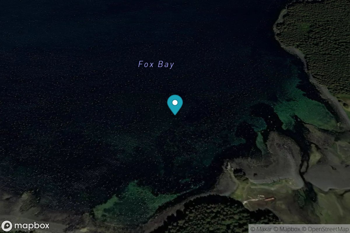 Fox Bay, Whale Island