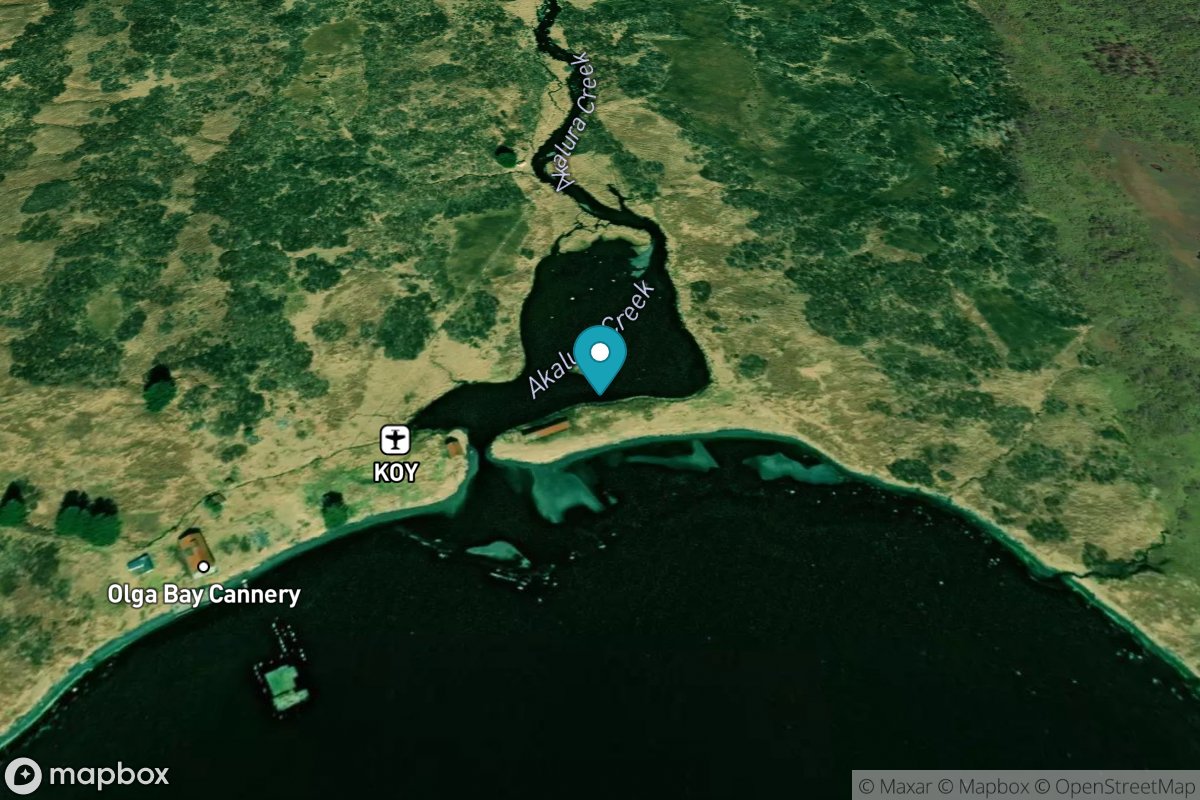 Olga Bay (A. P. A. Cannery)