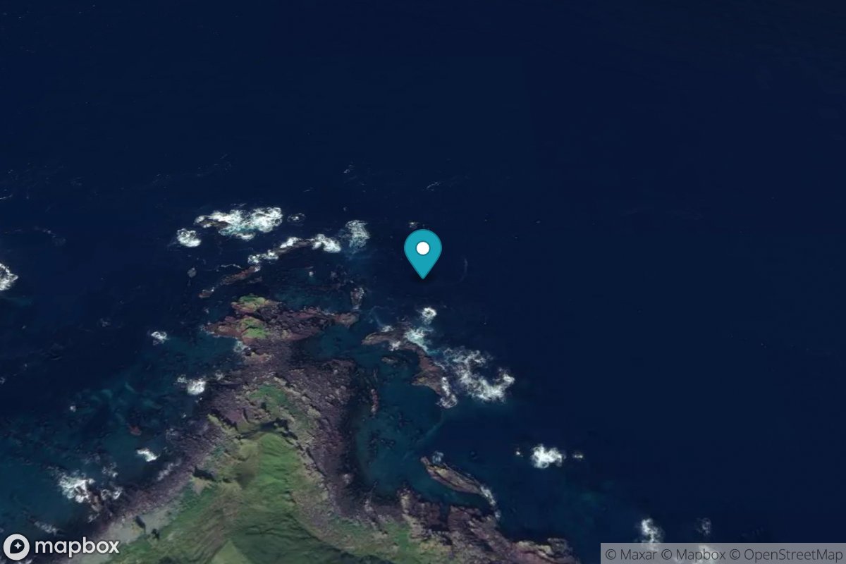 Finch Cove, Seguam Island