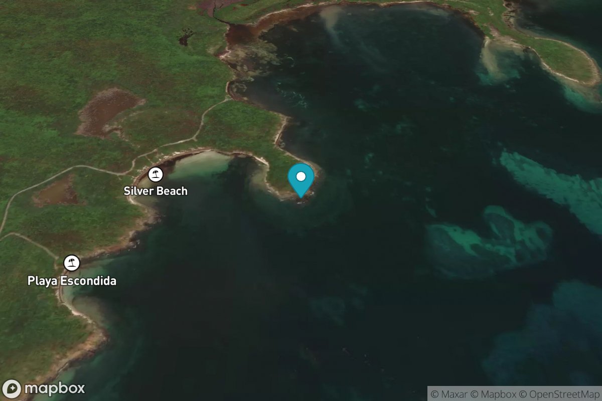 Punta la Plata, Vieques Island