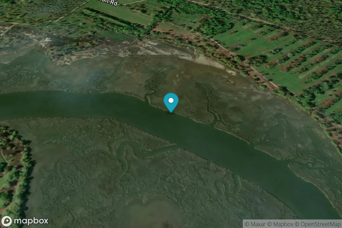 Euhaw Creek, 2.5 mi. above entrance