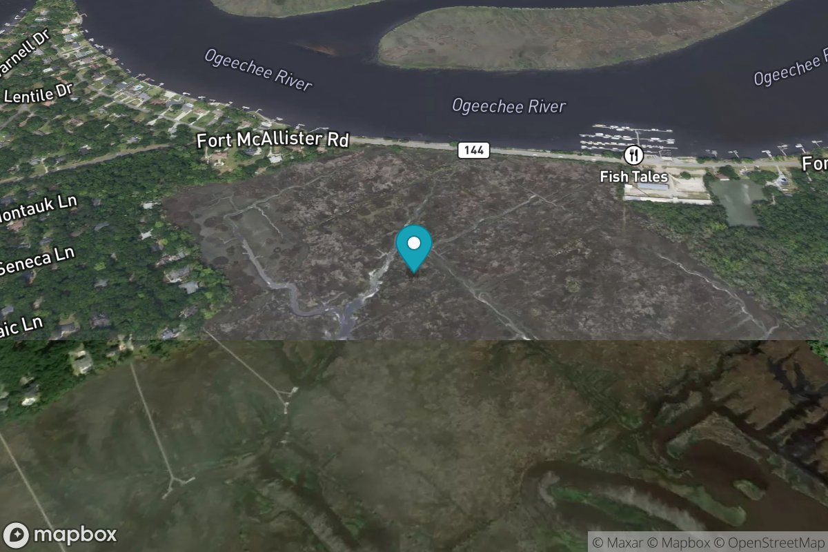 Fort McAllister, Ogeechee River