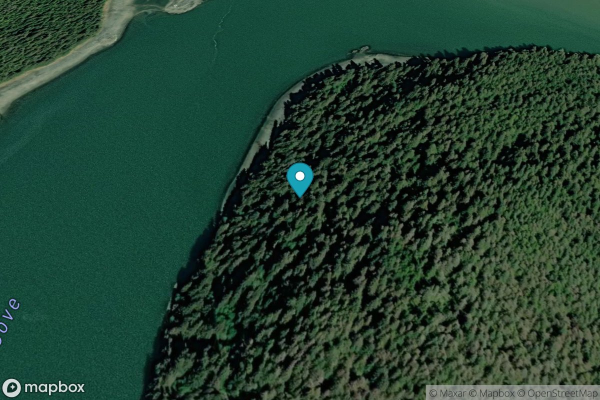 Ideal Cove, Mitkof Island