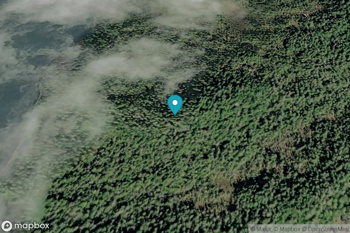 Eliza Harbor, Liesnoi Island