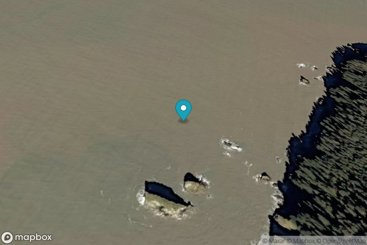 Wingham Island, Controller Bay