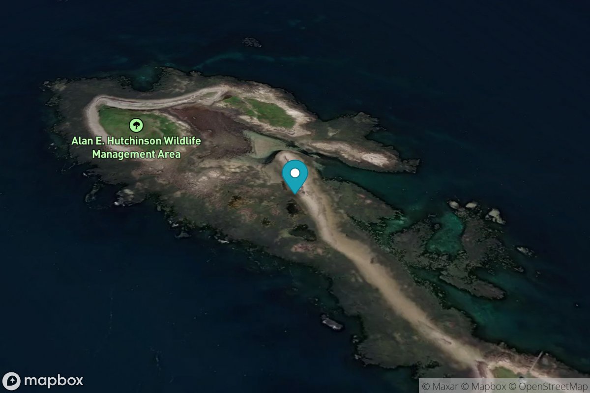 Green Island, Petit Manan Bar